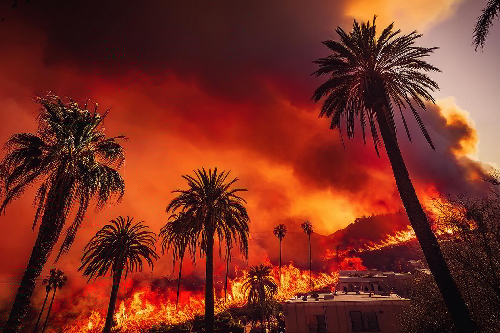 AI-Powered Wildfire Defense: Where Others Go Dark, You Stay Connected