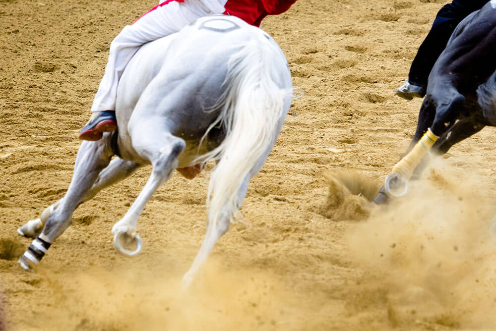 2025 Kentucky Derby