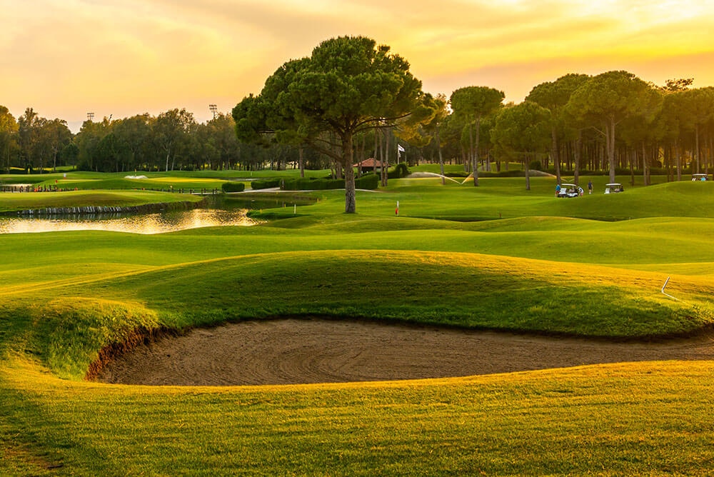 2024 US Open