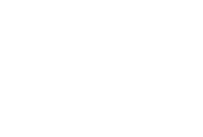 IC IC